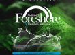 Ambiance Foreshore
