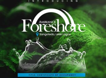 Ambiance Foreshore