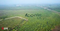 Iconic City